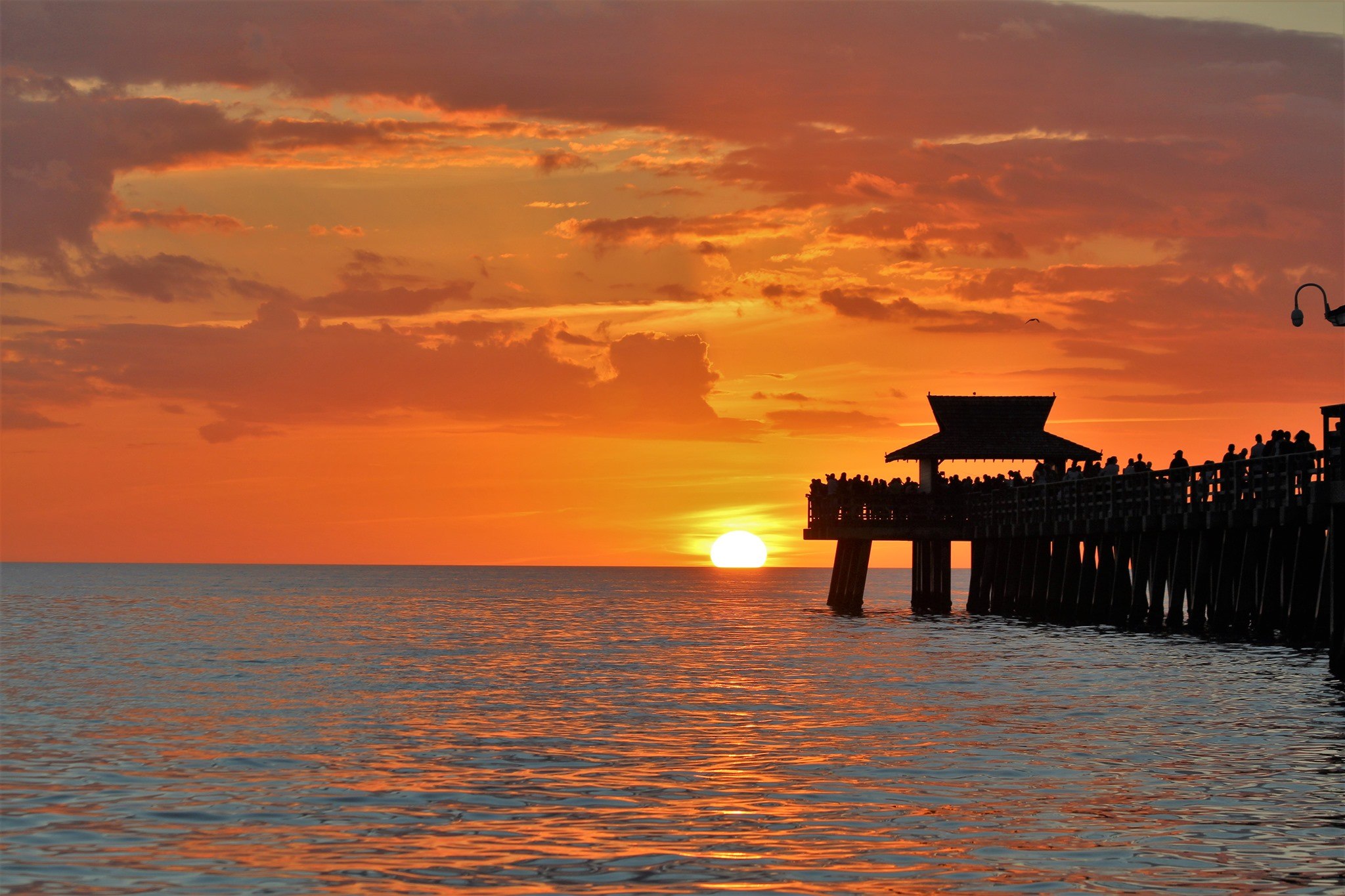 A golden sunset beside the historic Naples Pier
